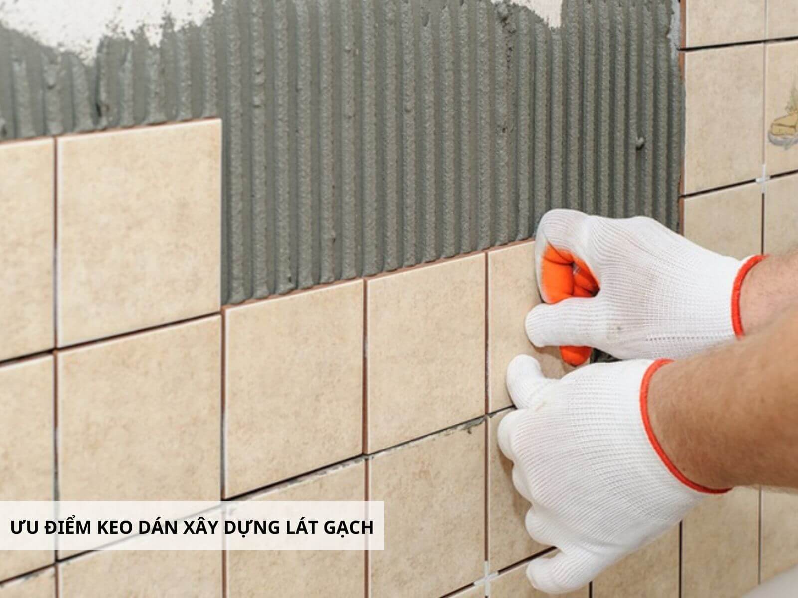 Ưu điểm keo dán xây dựng lát gạch